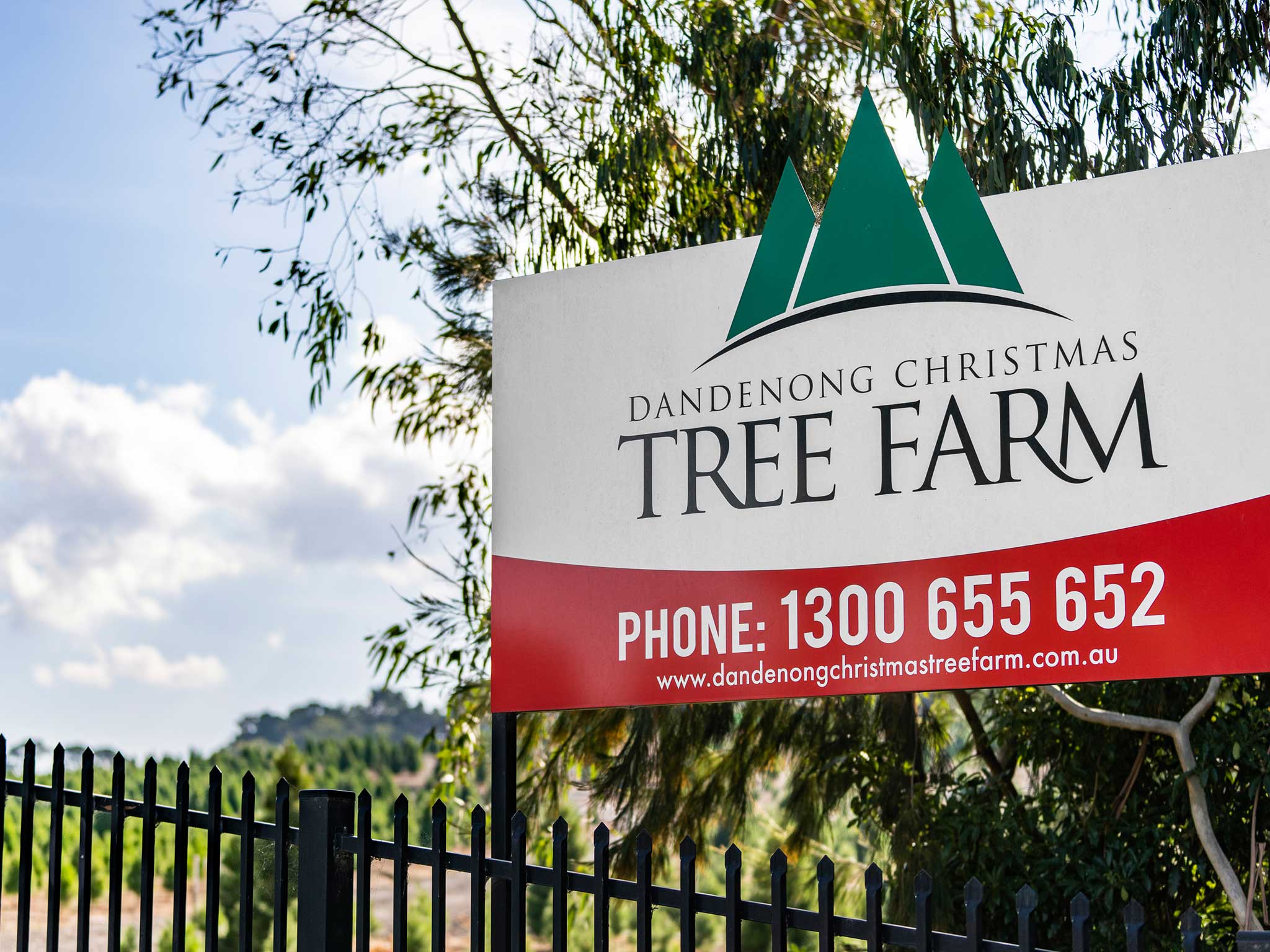 Dandenong Christmas Tree Farm